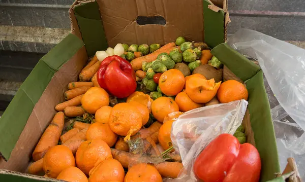 Brudne Pudełka Zgniłymi Mandarynkami Pieprzem Śmieci Odpady Żywnościowe — Zdjęcie stockowe