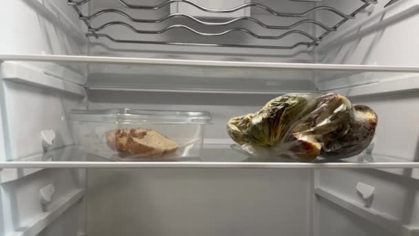 用保鲜膜包裹在冰箱里的发霉的饭菜 毛茸茸的真菌孢子在食物上生长 存储不正确 产品被宠坏 概念过期 图库视频片段