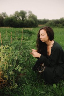 Dişi organik çiftçi, eko-çiftliğindeki hasattan dolayı seviniyor. Yeşil turizm kavramı, yavaş yaşam, bahçıvanlık, çevre dostu. Dizinin bir parçası.