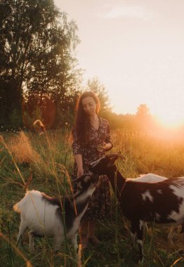 Woman herding domestic goats outdoors on a sunny day, close-up on an eco-farm. Concept of green tourism, slow living, gardening, ecology. Part of a series.