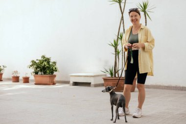 Köpeğinin arkasını temizleyen sorumluluk sahibi bir kadına yaklaş. Sahibi hayvanının arkasını temizliyor. Dostluk, yürüyüş, evcil hayvanlar. İtalyan tazısı. dizinin bir parçası.