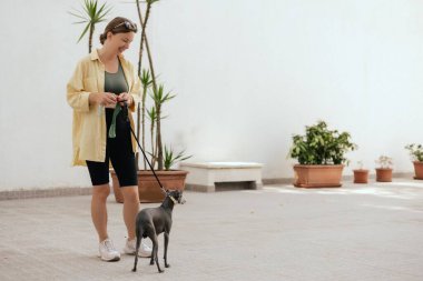 Köpeğinin arkasını temizleyen sorumluluk sahibi bir kadına yaklaş. Sahibi hayvanının arkasını temizliyor. Dostluk, yürüyüş, evcil hayvanlar. İtalyan tazısı. dizinin bir parçası.