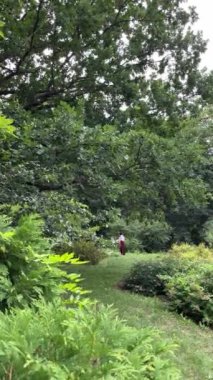 Genç bayan ressam güneş ışığında yaz parkında resim yapıyor. Sanat ve hobi konsepti. Çizim için hazırlık, çizim süreci ve sonuç - bir resim. Bir serinin parçası.