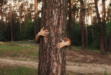 Genç bir kadının elleri ormanda bir ağaca sarılıyor ve doğayı seviyor. Çevre ve çevre bakımı kavramı. İnsanlar Dünya gezegenini sever ve ormanların yok oluşunu durdurur..