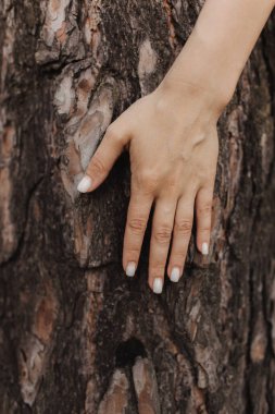 Genç bir kadının eli ormanda bir ağaca sarılıyor ve doğayı seviyor. Çevre ve çevre bakımı kavramı. İnsanlar Dünya gezegenini sever ve ormanların yok oluşunu durdurur.