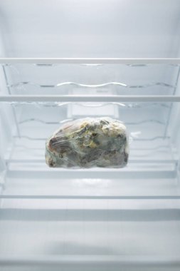 Buzdolabında streç filme sarılı küflü yemek. Yanlış depolama, bozuk ürün, süresi geçmiş konsept. Bir serinin parçası.