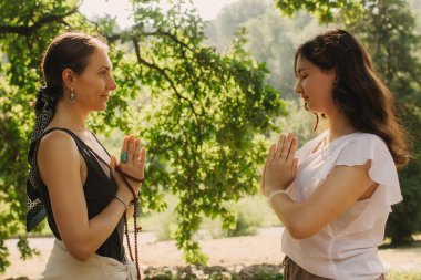 Açık alanda düşünceli meditasyon ve yogadan önce danışman ve öğrenci. Derin rahatlama ve insanların iç düşünceleri. Meditasyon deneyimini kolaylaştırmak. Dizinin bir parçası.