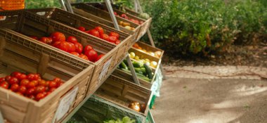 Küçük şehir pazarında taze sebzeler. Organik ürünler açık pazarda satılıyor. Taze ekin ve sebze hasadı satıyorum. Avrupa şehir merkezi. Kapatın. Dizinin bir parçası.