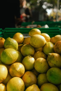 Küçük şehir pazarında taze sebzeler. Organik ürünler açık pazarda satılıyor. Taze ekin ve sebze hasadı satıyorum. Avrupa şehir merkezi. Kapatın. Dizinin bir parçası.