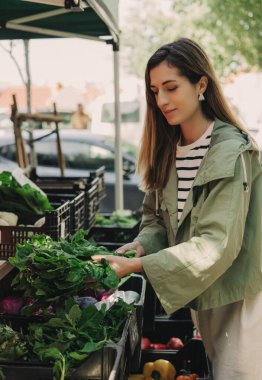 Piyasadaki kadın. Olgun Kadın Müşteri Dükkanı 'ndan alışveriş yapıyor. Kadın yerel çiftçi pazarından alışveriş yapıyor. Sebze alan güzel bir kadın. Kapatın. Dizinin bir parçası.