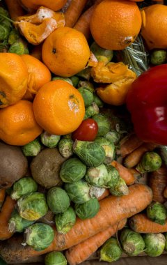 Çürük mandalina ve biberli kirli kutular. Çöp ve yiyecek israfı. Üst Manzara. Dizinin bir parçası. Atık minimize etme ve tüketim kavramı