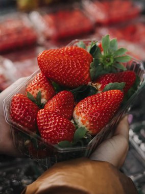 Kadın alıcıların elinde taze böğürtlenli şeffaf plastik kaplar. Yerel pazarda paketler üst üste istiflenir. Çilekler sert, zengin ve parlaktır..