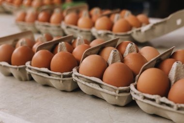 Tepside veya yumurta kutusunda organik kahverengi yumurta. Market veya kahvaltı için kartonda tavuk yumurtası. Tavuk çiftliği yumurta kabukları satılığa çıkarıldı. Yumuşak odaklanma. Bir serinin parçası