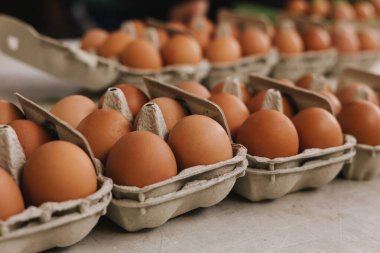 Tepside veya yumurta kutusunda organik kahverengi yumurta. Market veya kahvaltı için kartonda tavuk yumurtası. Tavuk çiftliği yumurta kabukları satılığa çıkarıldı. Yumuşak odaklanma. Bir serinin parçası