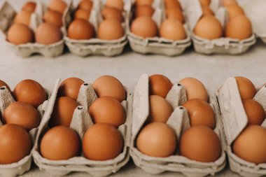Tepside veya yumurta kutusunda organik kahverengi yumurta. Market veya kahvaltı için kartonda tavuk yumurtası. Tavuk çiftliği yumurta kabukları satılığa çıkarıldı. Yumuşak odaklanma. Bir serinin parçası