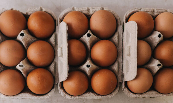 Organic Brown eggs in tray or egg box. Poultry Chicken eggs in carton for grocery or breakfast. Hen farm eggshells collected arranged packaged for sale. Soft focus. Part of a series