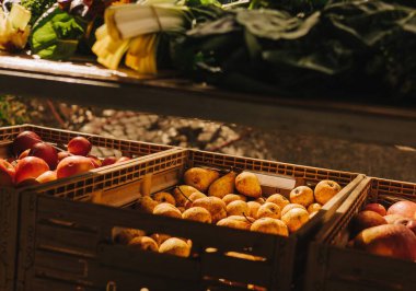 Küçük şehir pazarında taze sebzeler. Organik ürünler açık pazarda satılıyor. Taze ekin ve sebze hasadı satıyorum. Avrupa şehir merkezi. Kapatın. Dizinin bir parçası.