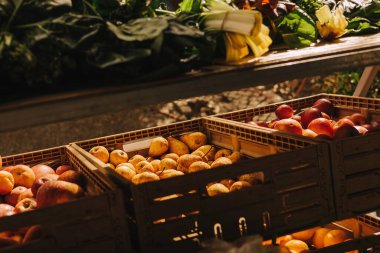 Küçük şehir pazarında taze sebzeler. Organik ürünler açık pazarda satılıyor. Taze ekin ve sebze hasadı satıyorum. Avrupa şehir merkezi. Kapatın. Dizinin bir parçası.