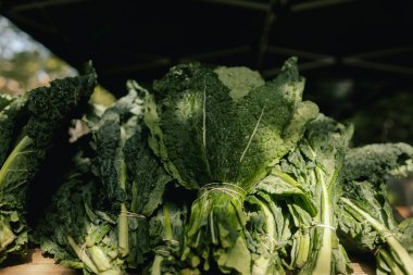 Küçük şehir pazarında taze yeşillik ve marul. Organik ürünler açık pazarda satılıyor. Taze ekin ve sebze hasadı satıyorum. Avrupa şehir merkezi. Kapatın. Dizinin bir parçası