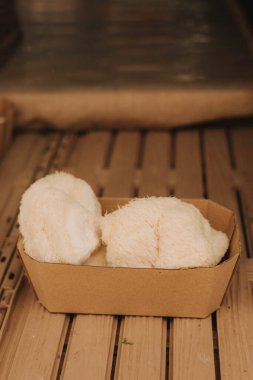 Karton kutularda egzotik mantarların yakın çekimi, şampiyonlar gurme olarak yetişti. Organik ürünler açık pazarda satılıyor. Taze ekin ve sebze hasadı satıyorum. Avrupa şehir merkezi. Kapat.