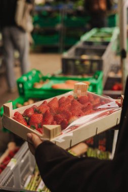 Kadın bir alıcının elindeki ahşap bir kutu taze çileğin yakın çekimi. Yerel bir markette paketler üst üste yığıldı. Meyveler sert, zengin ve parlak..