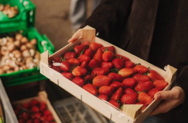Kadın bir alıcının elindeki ahşap bir kutu taze çileğin yakın çekimi. Yerel bir markette paketler üst üste yığıldı. Meyveler sert, zengin ve parlak..