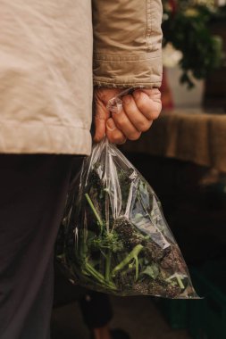 Yerel çiftçi pazarında, polietilen çantasındaki yeşilliklerle yakın plan. Olgun Kadın Müşteri Dükkanı 'ndan alışveriş yapıyor. Sebze alan kadın. Kapatın. Dizinin bir parçası