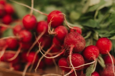 Küçük bir yerel pazarda taze turp. Organik ürünler açık pazarda satılıyor. Taze ekin ve sebze hasadı satıyorum. Avrupa şehir merkezi. Kapatın. Dizinin bir parçası