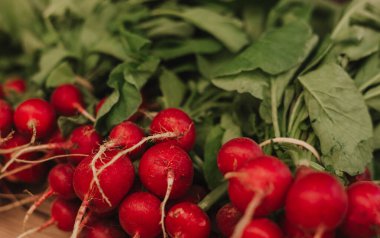 Küçük bir yerel pazarda taze turp. Organik ürünler açık pazarda satılıyor. Taze ekin ve sebze hasadı satıyorum. Avrupa şehir merkezi. Kapatın. Dizinin bir parçası
