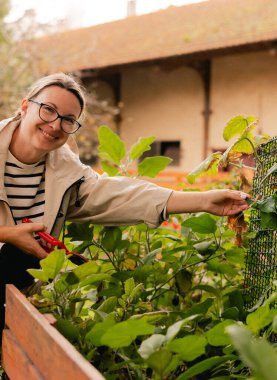 Bahçedeki eko-çiftlikte çiçeklerle ve bitkilerle ilgilenen çiçekçi olarak bahçe aletleri olan bir kadının yakın çekimi. Yeşil turizm kavramı, yavaş yaşam, bahçıvanlık, çevre dostu. Dizinin bir parçası