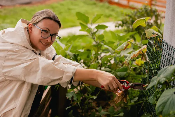 Bahçedeki eko-çiftlikte çiçeklerle ve bitkilerle ilgilenen çiçekçi olarak bahçe aletleri olan bir kadının yakın çekimi. Yeşil turizm kavramı, yavaş yaşam, bahçıvanlık, çevre dostu. Dizinin bir parçası
