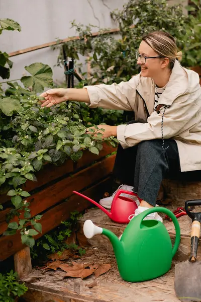 Çiçekçilik yapan orta yaşlı bir kadının portresi. Bahçedeki çiçek ve bitkilerle ilgilenen. Klasik sera eko-çiftliği. Yeşil turizm kavramı, yavaş yaşam, bahçıvanlık, çevre dostu. Dizinin bir parçası