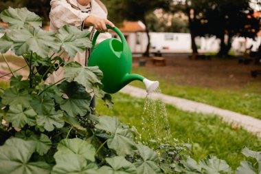 Bahçedeki eko-çiftlikte çiçeklerle ve bitkilerle ilgilenen çiçekçi olarak bahçe aletleriyle kadınların bacaklarına yakın çekim. Yeşil turizm kavramı, yavaş yaşam, bahçıvanlık, çevre dostu. Dizinin bir parçası