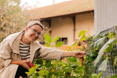 Bahçedeki eko-çiftlikte çiçeklerle ve bitkilerle ilgilenen çiçekçi olarak bahçe aletleri olan bir kadının yakın çekimi. Yeşil turizm kavramı, yavaş yaşam, bahçıvanlık, çevre dostu. Dizinin bir parçası