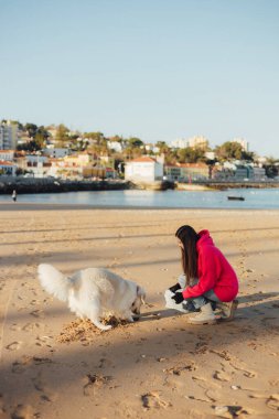 Köpekli bir kadın ekolojist plastikten ve diğer atıklardan sahil kenarını temizliyor. Çöp geri dönüşümü ve çevresel bakım kavramı. Bir serinin parçası