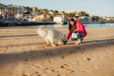 Köpekli bir kadın ekolojist plastikten ve diğer atıklardan sahil kenarını temizliyor. Çöp geri dönüşümü ve çevresel bakım kavramı. Bir serinin parçası