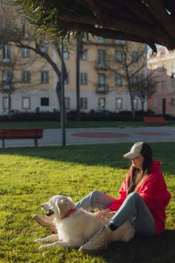 Genç bir kadın, güneşli bir havada parkta golden retriever köpeği eğitiyor. Mutlu köpekler konsepti. Bir serinin parçası