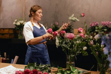 Önlüklü orta yaşlı kadın çiçekçi çiçekçide çiçek buketi için çiçek düzenliyor. Küçük bir yerel işletme. Dizinin bir parçası. Yumuşak odak