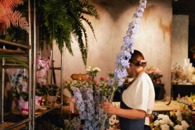 Önlüklü orta yaşlı kadın çiçekçi çiçekçide çiçek buketi için çiçek düzenliyor. Küçük bir yerel işletme. Dizinin bir parçası. Yumuşak odak