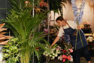 Önlüklü orta yaşlı kadın çiçekçi çiçekçide çiçek buketi için çiçek düzenliyor. Küçük bir yerel işletme. Dizinin bir parçası. Yumuşak odak