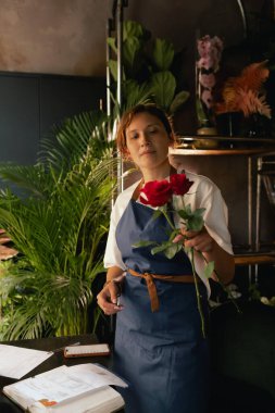 Önlüklü orta yaşlı kadın çiçekçi çiçekçide çiçek buketi için çiçek düzenliyor. Küçük bir yerel işletme. Dizinin bir parçası. Yumuşak odak