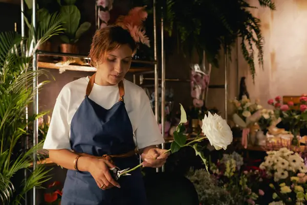 Önlüklü orta yaşlı kadın çiçekçi çiçekçide çiçek buketi için çiçek düzenliyor. Küçük bir yerel işletme. Dizinin bir parçası. Yumuşak odak