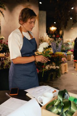 Önlüklü orta yaşlı kadın çiçekçi çiçekçide çiçek buketi için çiçek düzenliyor. Küçük bir yerel işletme. Dizinin bir parçası. Yumuşak odak