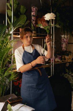 Önlüklü orta yaşlı kadın çiçekçi çiçekçide çiçek buketi için çiçek düzenliyor. Küçük bir yerel işletme. Dizinin bir parçası. Yumuşak odak