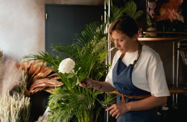 Önlüklü orta yaşlı kadın çiçekçi çiçekçide çiçek buketi için çiçek düzenliyor. Küçük bir yerel işletme. Dizinin bir parçası. Yumuşak odak