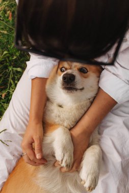 Güneşli bir havada parkta Galli bir Corgi 'ye sarılan bir kadının yakın çekimi. Köpeği gezdirme kavramı, köpek ve sahibi arasındaki arkadaşlık. Dizinin bir parçası. Yumuşak odak.