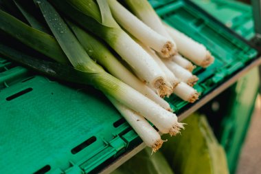 Küçük şehir pazarında taze sebzeler. Organik ürünler açık pazarda satılıyor. Taze ekin ve sebze hasadı satıyorum. Avrupa şehir merkezi. Kapatın. Dizinin bir parçası.