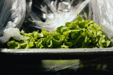 Küçük şehir pazarında taze sebzeler. Organik ürünler açık pazarda satılıyor. Taze ekin ve sebze hasadı satıyorum. Avrupa şehir merkezi. Kapatın. Dizinin bir parçası.