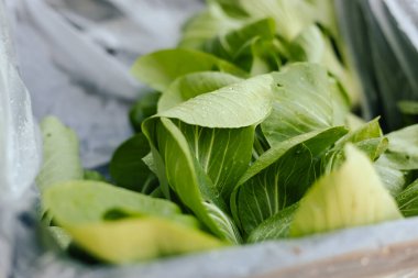 Küçük şehir pazarında taze sebzeler. Organik ürünler açık pazarda satılıyor. Taze ekin ve sebze hasadı satıyorum. Avrupa şehir merkezi. Kapatın. Dizinin bir parçası.
