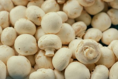 Taze mantarlar, küçük şehir pazarında şampiyonlar. Organik ürünler açık pazarda satılıyor. Taze ekin ve sebze hasadı satıyorum. Avrupa şehir merkezi. Kapat.